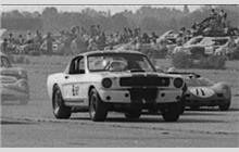 8 - Shelby GT350