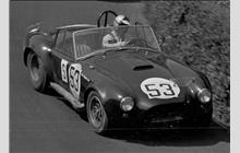 53 - Shelby Cobra #CSX3019 - Ecurie Cinquante Cinq