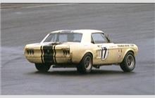 17 - Ford Mustang - Shelby American
