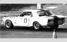 17 - Ford Mustang - Terlingua Racing Team