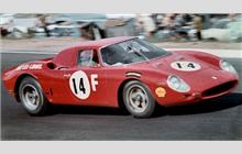 14 - Ferrari 250 LM #6105 - D. Skailes
