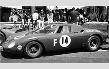 14 - Ferrari 250 LM #6105 - D. Skailes