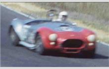66 - Shelby Cobra #CSX3035