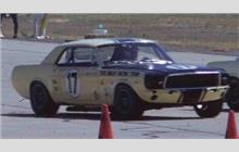 17 - Ford Mustang - Terlingua Racing Team