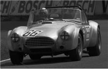 66 - Shelby Cobra - Nicholas Granville-Smith