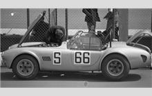 66 - Shelby Cobra - Nicholas Granville-Smith