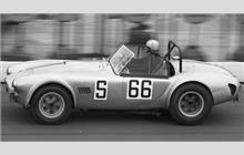 66 - Shelby Cobra - Nicholas Granville-Smith