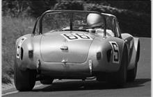 66 - Shelby Cobra - Nicholas Granville-Smith