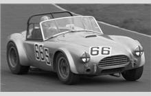 66 - Shelby Cobra - Nicholas Granville-Smith