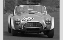 66 - Shelby Cobra - Nicholas Granville-Smith