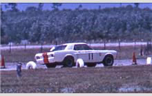 11 - Ford Mustang - Grady Davis