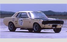 17 - Ford Mustang - Terlingua Racing Team
