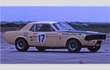 17 - Ford Mustang - Terlingua Racing Team