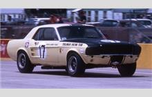 17 - Ford Mustang - Terlingua Racing Team