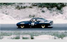 9 - Chevrolet Camaro - Roger S. Penske