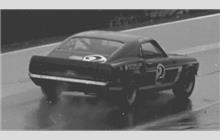 2 - Ford Mustang Boss 302 - Shelby Racing Co.