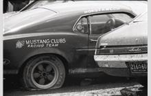 2 - Ford Mustang Boss 302 - Shelby Racing Co.