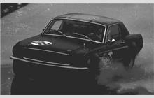 28 - Ford Mustang - R. Dean Gregson
