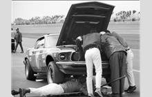 87 - Ford Mustang - William Lowell