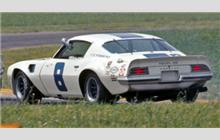8 - Pontiac Firebird - T-G Racing