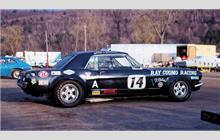 14 - Ford Mustang #6 (Shelby) - Ray Cuomo