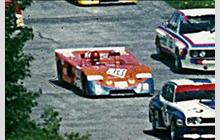 38 - Chevron B19/23 Ford - Squadra Tartaruga