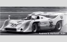 16 - Porsche 917/10 TC #003 - Rinzler Motoracing-Royal Crown