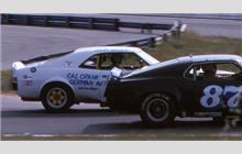 38 - AMC Javelin - -