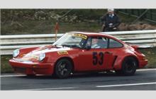 53 - Porsche 911 Carrera RSR 3.0 #911 460 9065 - Gelo Racing