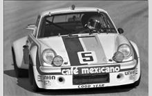 5 - Porsche 911 Carrera RSR 3.0 #911 460 9041 - Hector Rebaque