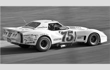 75 - Chevrolet Corvette C3 #Greenwood 002 (Greenwood) - John Greenwood
