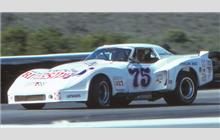 75 - Chevrolet Corvette C3 #Greenwood 002 (Greenwood) - John Greenwood