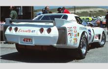 75 - Chevrolet Corvette C3 #Greenwood 002 (Greenwood) - John Greenwood