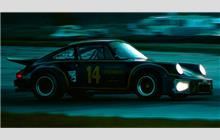14 - Porsche Carrera RSR #911 460 9056 - G. W. Dickinson/Holbert Porsche-Audi