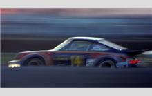 14 - Porsche Carrera RSR #911 460 9056 - G. W. Dickinson/Holbert Porsche-Audi