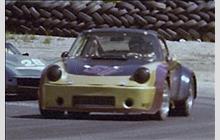 51 - Porsche 911 Carrera RSR 3.0 #911 460 9049 - John Wood Racing