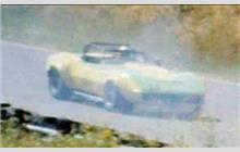 11 - Chevrolet Corvette C3 350 - Gary Carlen