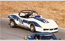 17 - Chevrolet Corvette C3 - Stark Enterprises