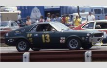 13 - AMC - Cindy Odell