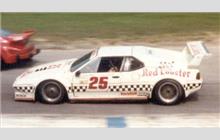 25 - BMW M1 #WBS59910004301040 - Red Lobster Racing