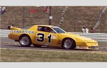 31 - Pontiac Firebird