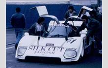51 - Jaguar XJR-6 #TWR-J12C-286 (Advanced) - Silk Cut Jaguar