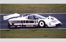 51 - Jaguar XJR-6 #TWR-J12C-286 (Advanced) - Silk Cut Jaguar