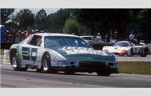 30 - Chevrolet Camaro III (Timmons) - Skoal Bandits