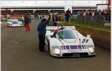 51 - Jaguar XJR-6 #TWR-J12C-286 (Advanced) - Silk Cut Jaguar