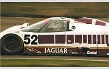 52 - Jaguar XJR-6 #TWR-J12C-186 (Advanced) - Silk Cut Jaguar
