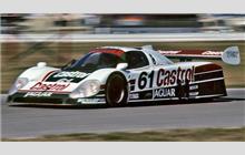 61 - Jaguar XJR-9 D #TWR-J12C-388 (Advanced) - Castrol/Jaguar Racing
