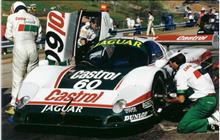 60 - Jaguar XJR-9 #TWR-J12C-288 (Advanced) - Castrol Jaguar Racing