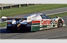 60 - Jaguar XJR-9 D #TWR-J12C-288 (Advanced) - Castrol Jaguar Racing