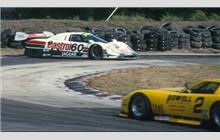 60 - Jaguar XJR-9 D #TWR-J12C-288 (Advanced) - Castrol Jaguar Racing